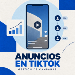 Gestión de campañas en TikTok Ads